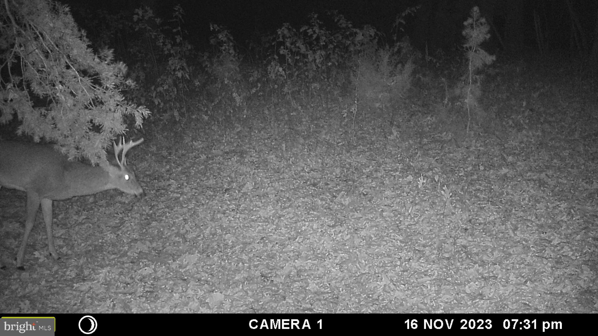 39 A Drive Front Royal, VA 22630 - Photo 40 of 61