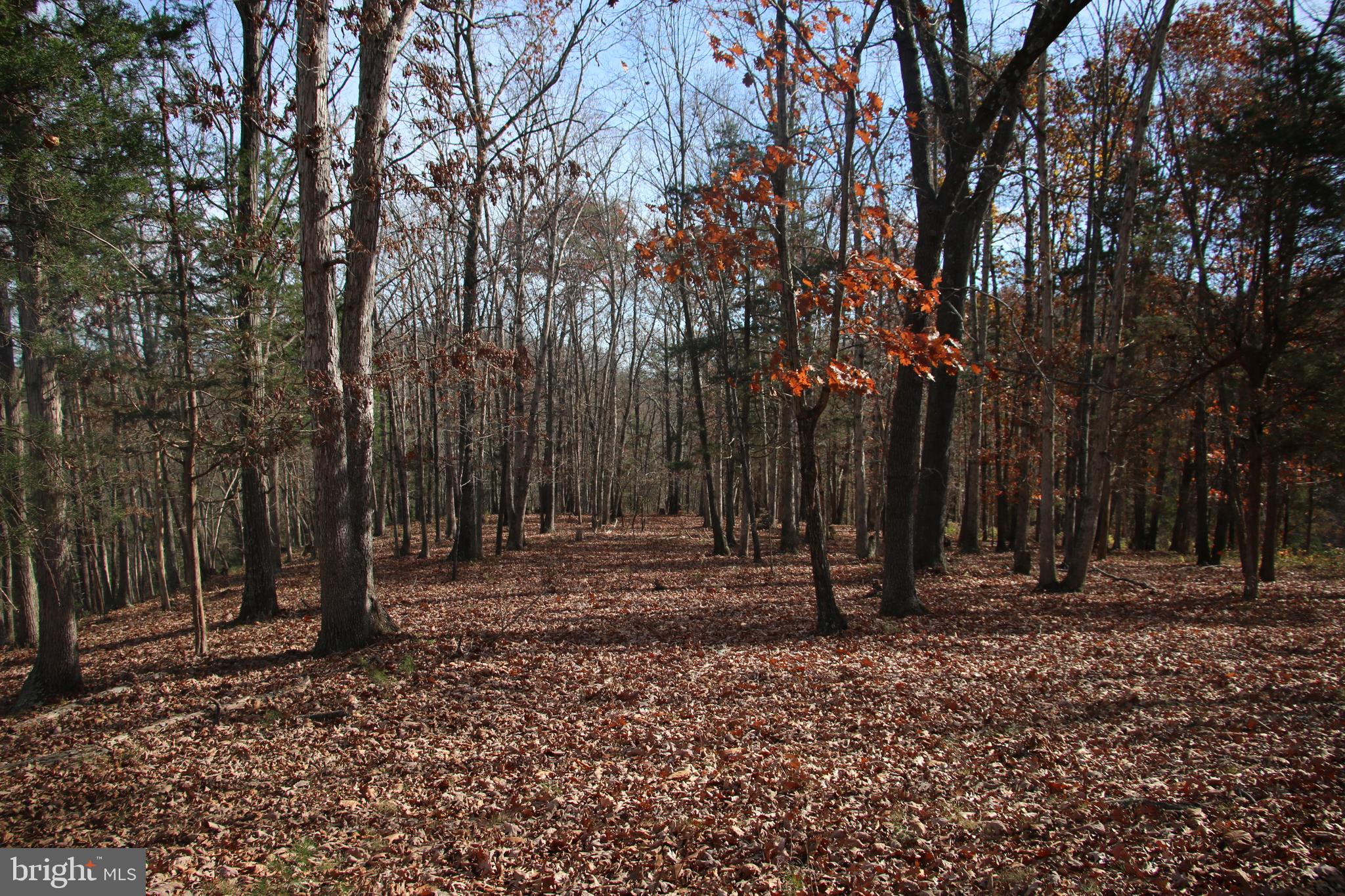 39 A Drive Front Royal, VA 22630 - Photo 4 of 61