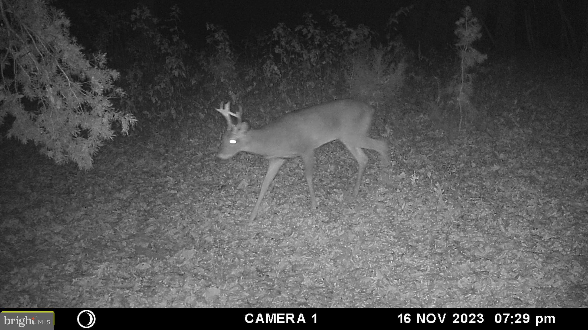 39 A Drive Front Royal, VA 22630 - Photo 41 of 61