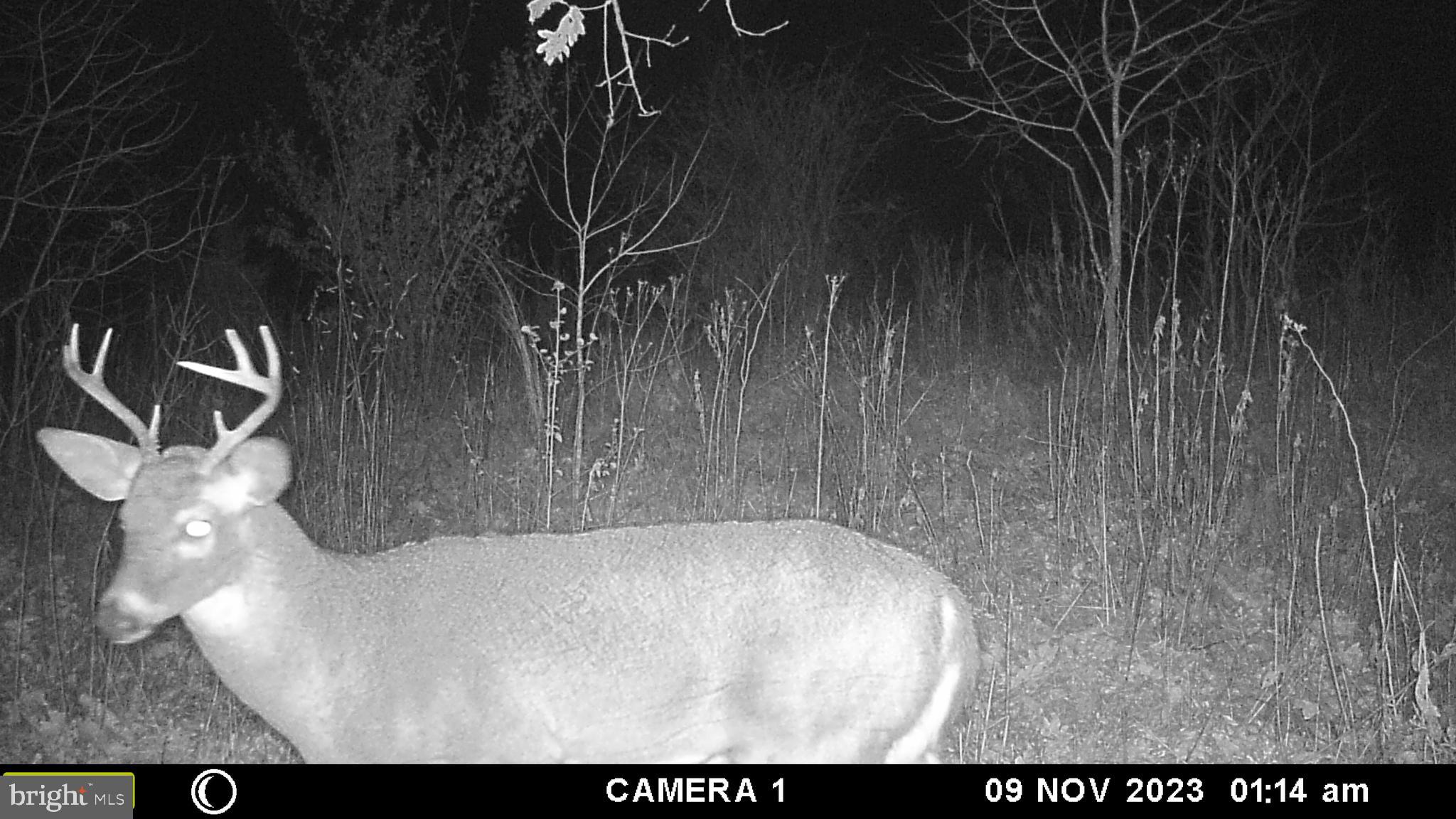 39 A Drive Front Royal, VA 22630 - Photo 46 of 61