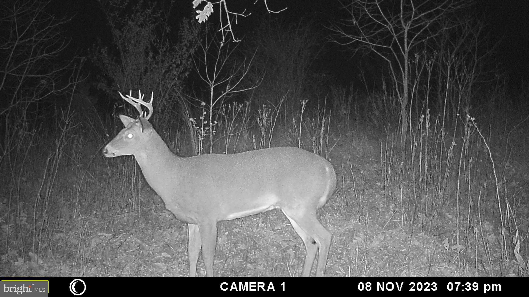 39 A Drive Front Royal, VA 22630 - Photo 47 of 61