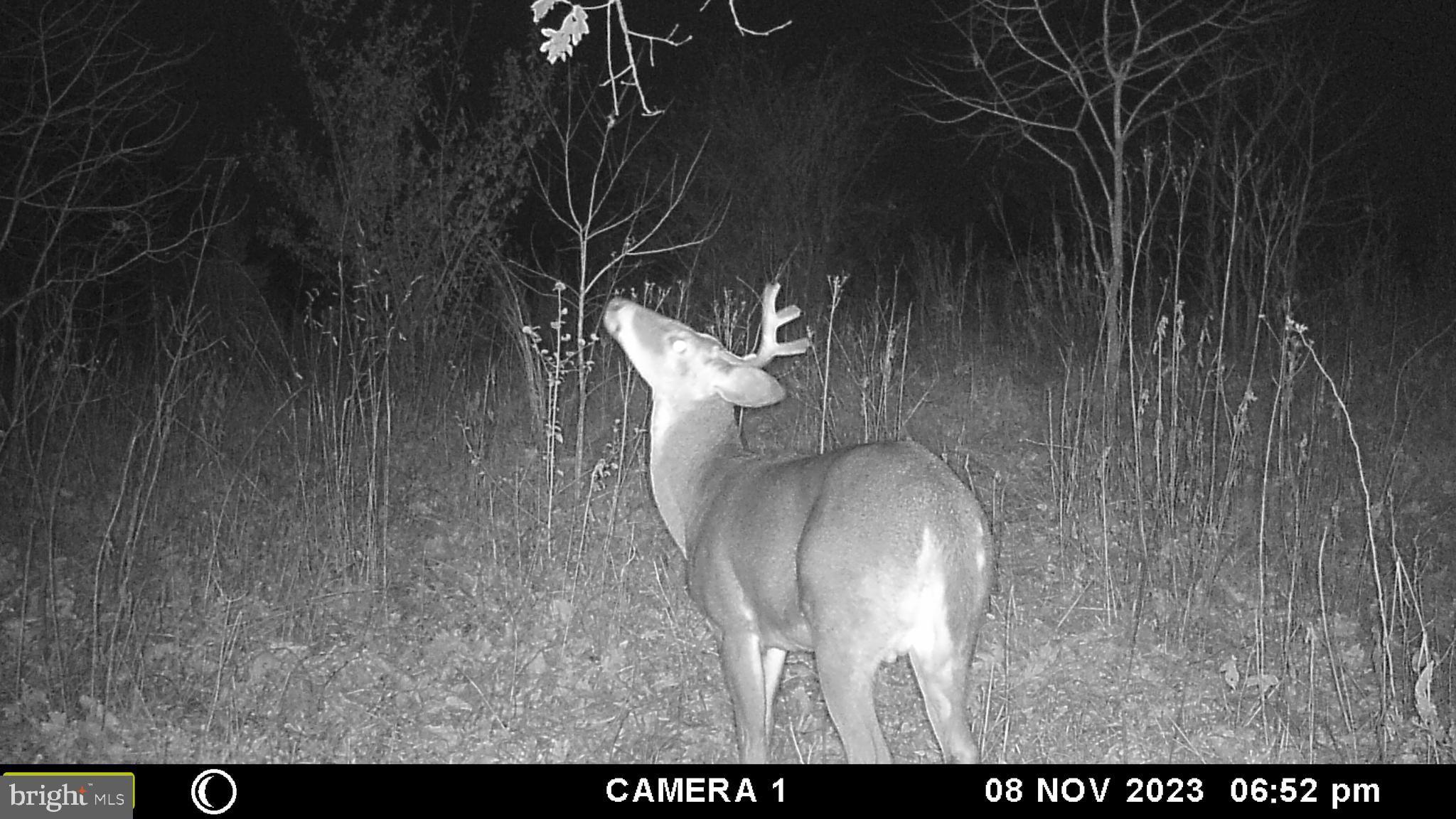 39 A Drive Front Royal, VA 22630 - Photo 49 of 61