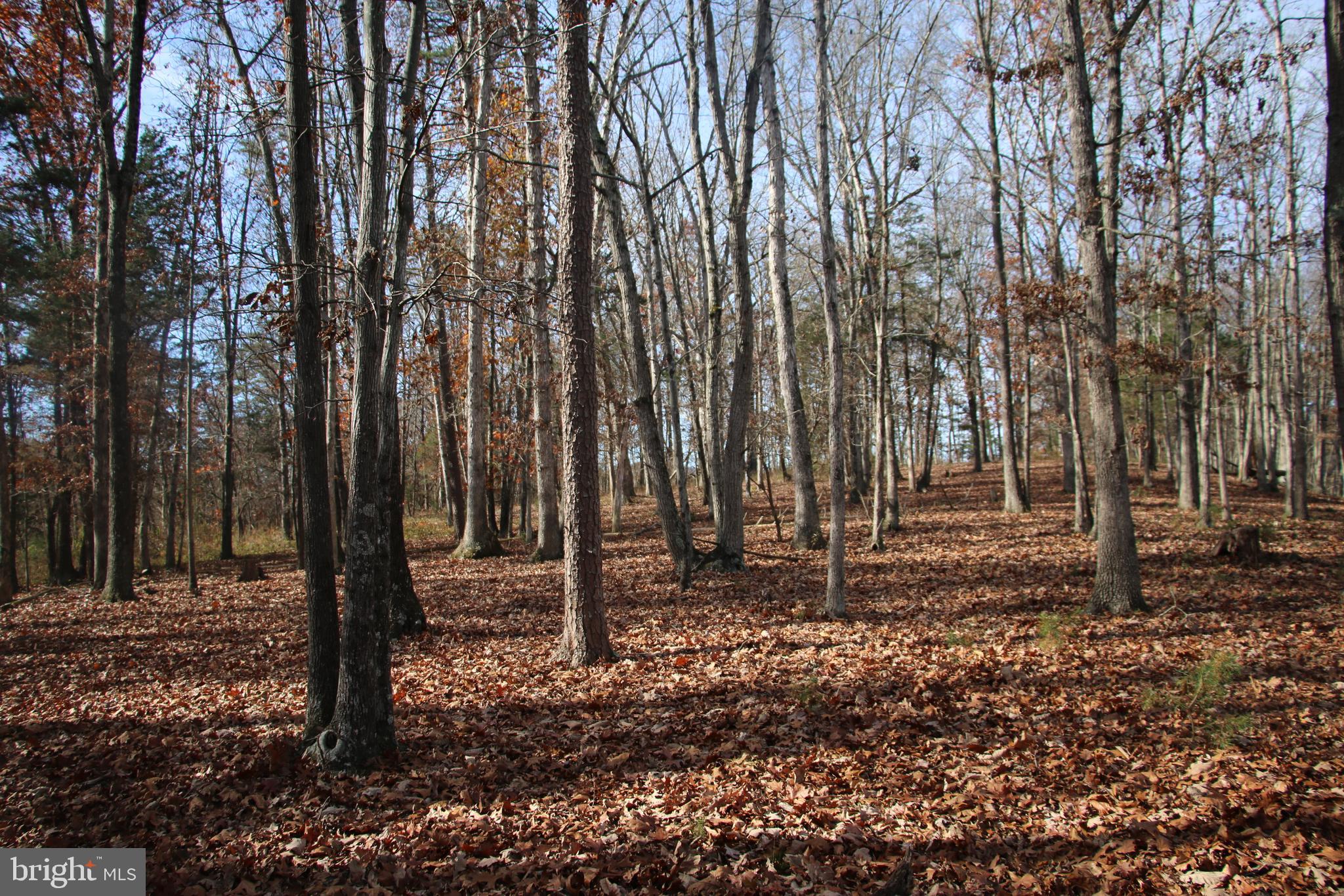 39 A Drive Front Royal, VA 22630 - Photo 5 of 61