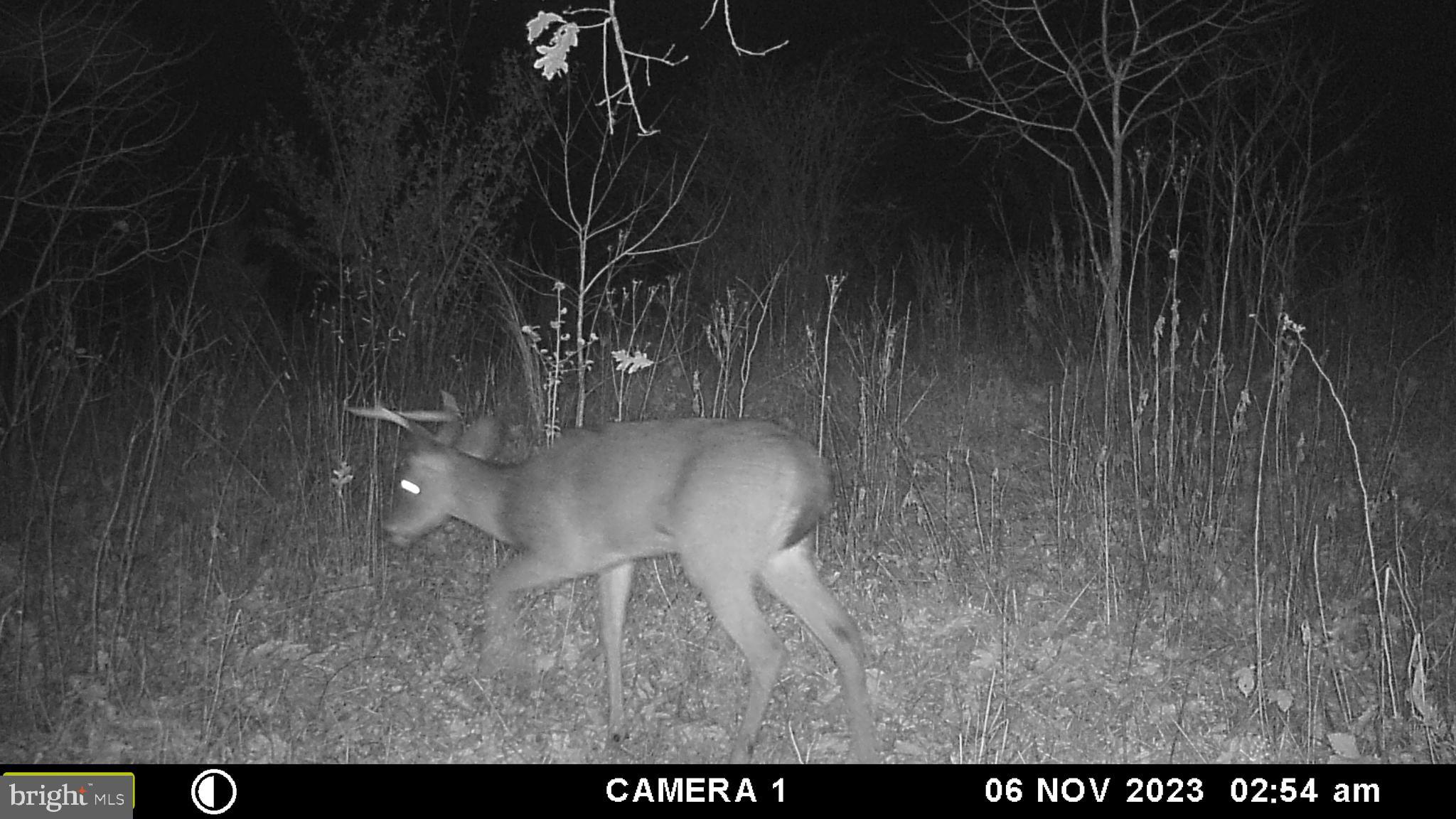 39 A Drive Front Royal, VA 22630 - Photo 51 of 61