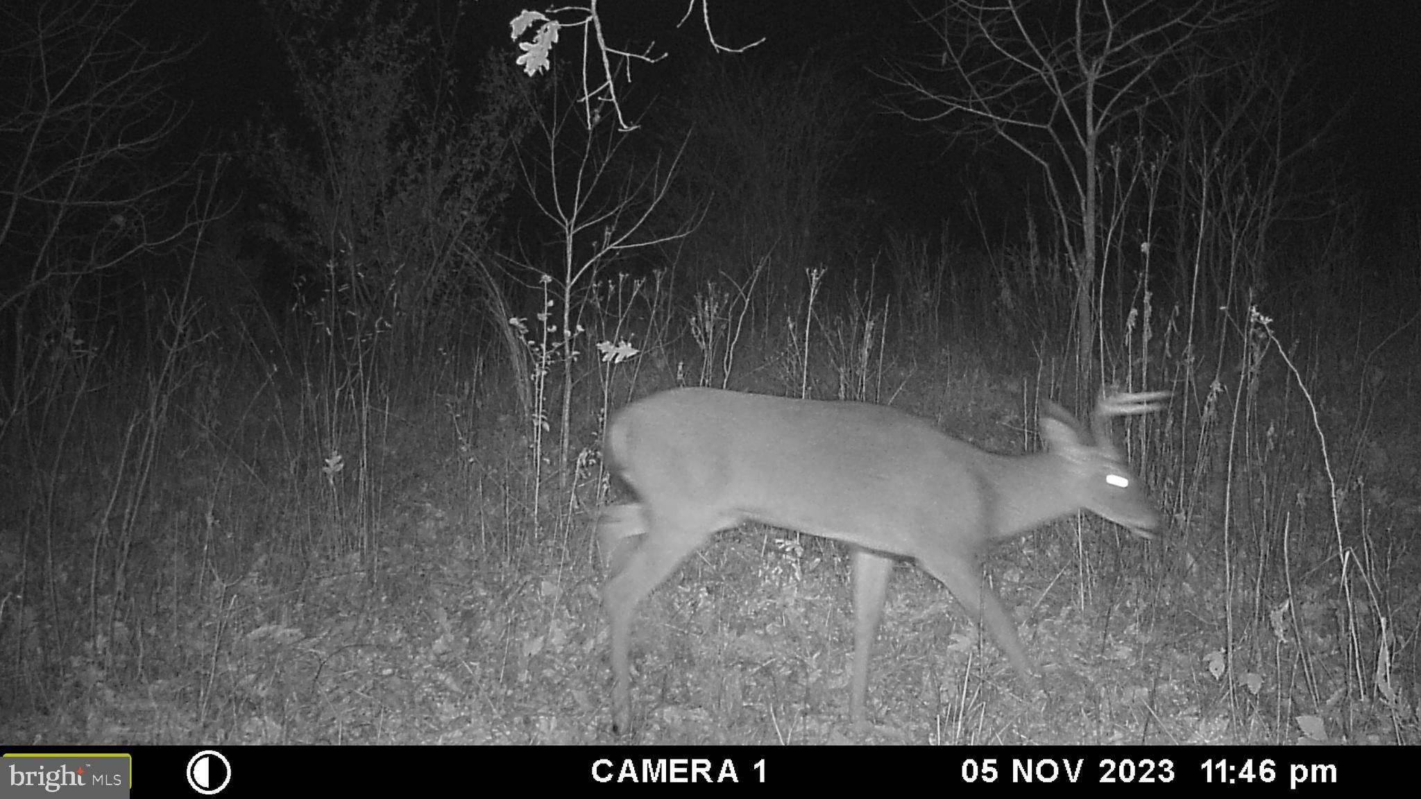 39 A Drive Front Royal, VA 22630 - Photo 52 of 61