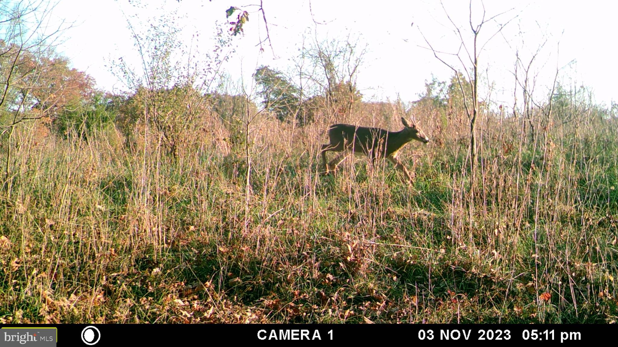 39 A Drive Front Royal, VA 22630 - Photo 55 of 61