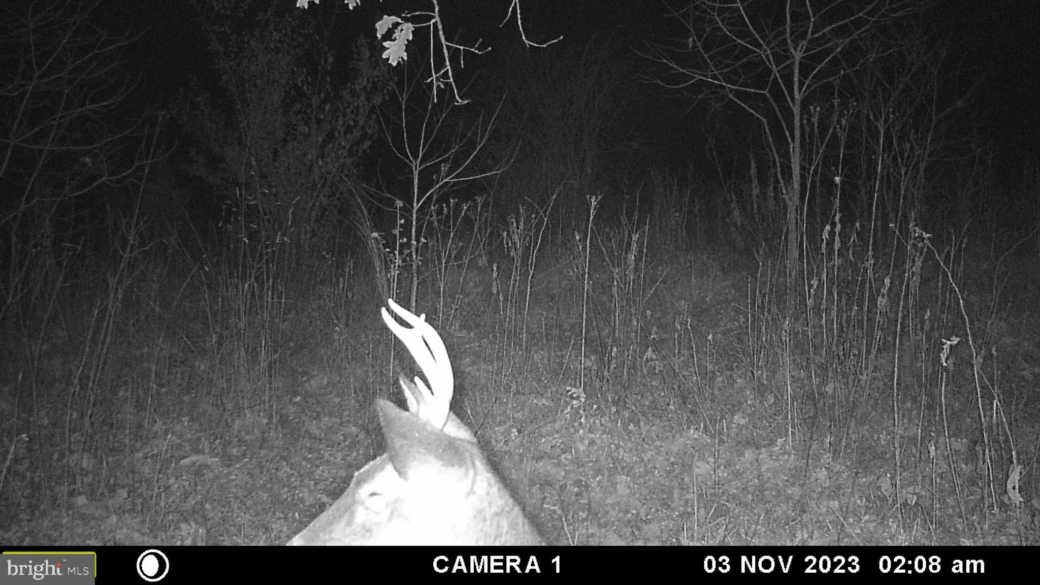 39 A Drive Front Royal, VA 22630 - Photo 56 of 61