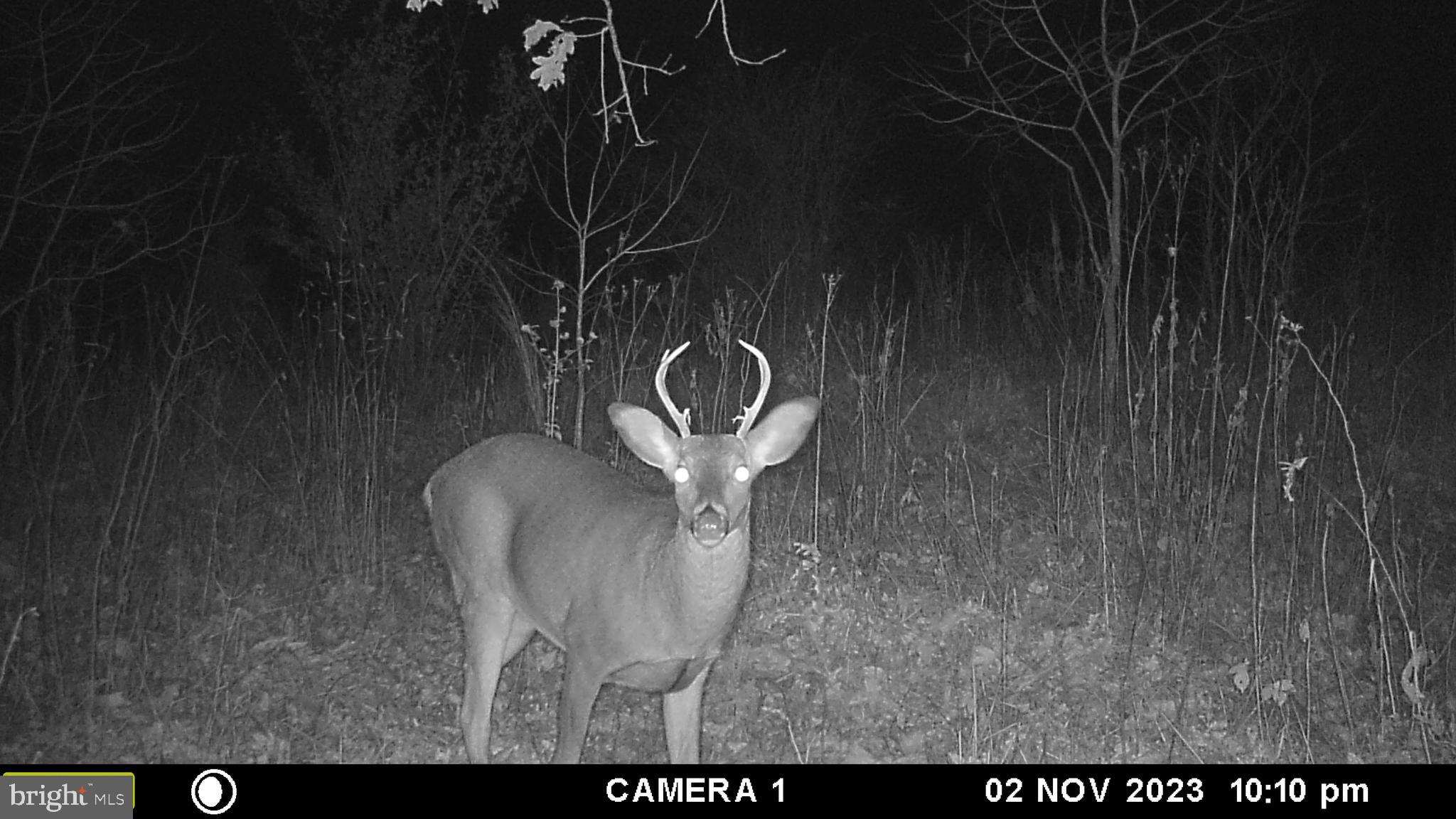 39 A Drive Front Royal, VA 22630 - Photo 59 of 61