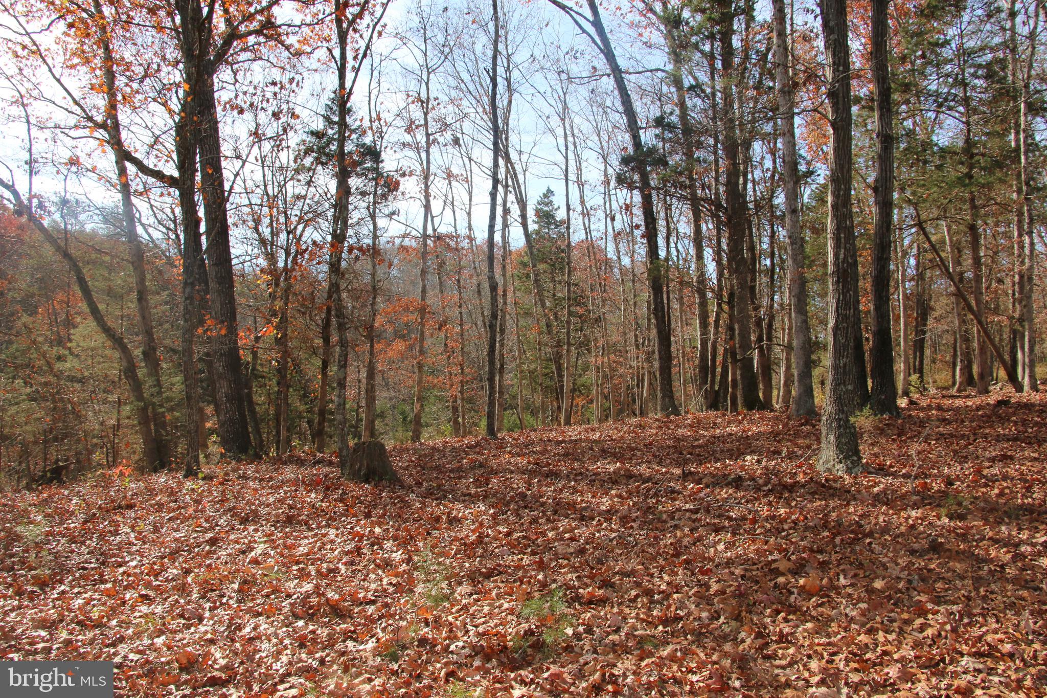 39 A Drive Front Royal, VA 22630 - Photo 8 of 61