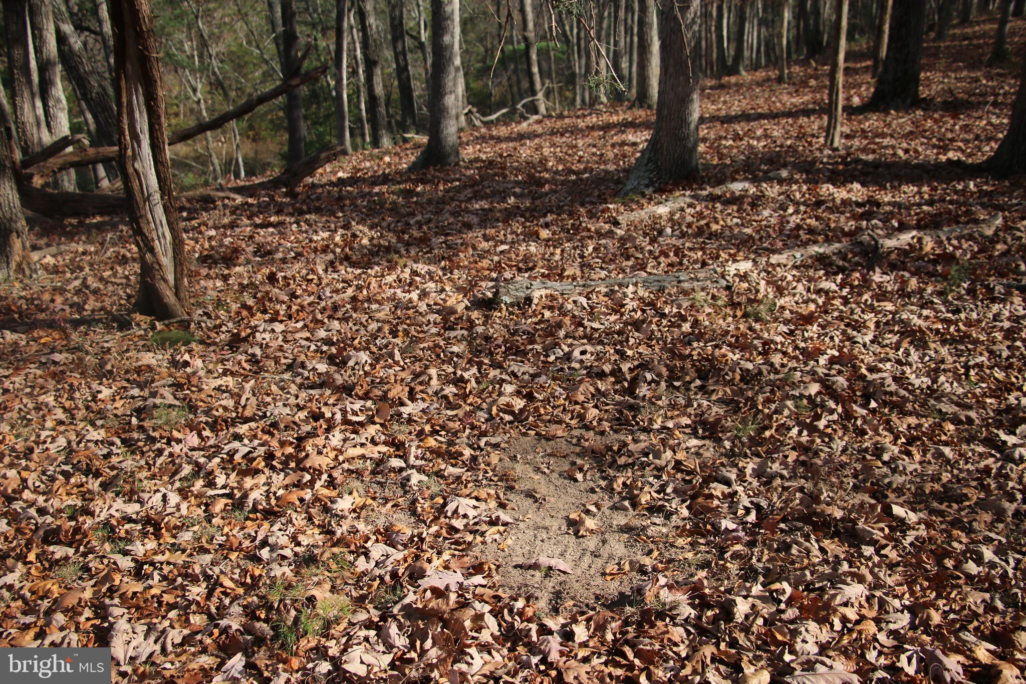 39 A Drive Front Royal, VA 22630 - Photo 9 of 61