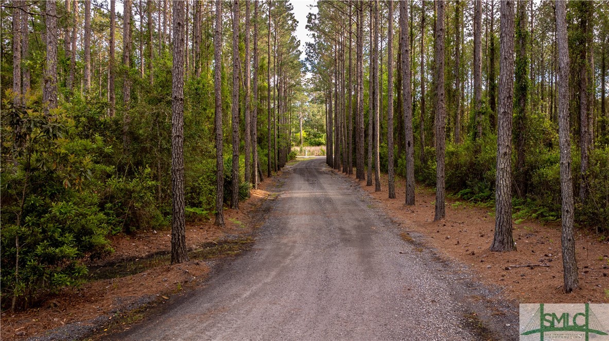 275 Kilkenny Road Richmond Hill, GA 31324 - Photo 44 of 50 Aerial driveway view
