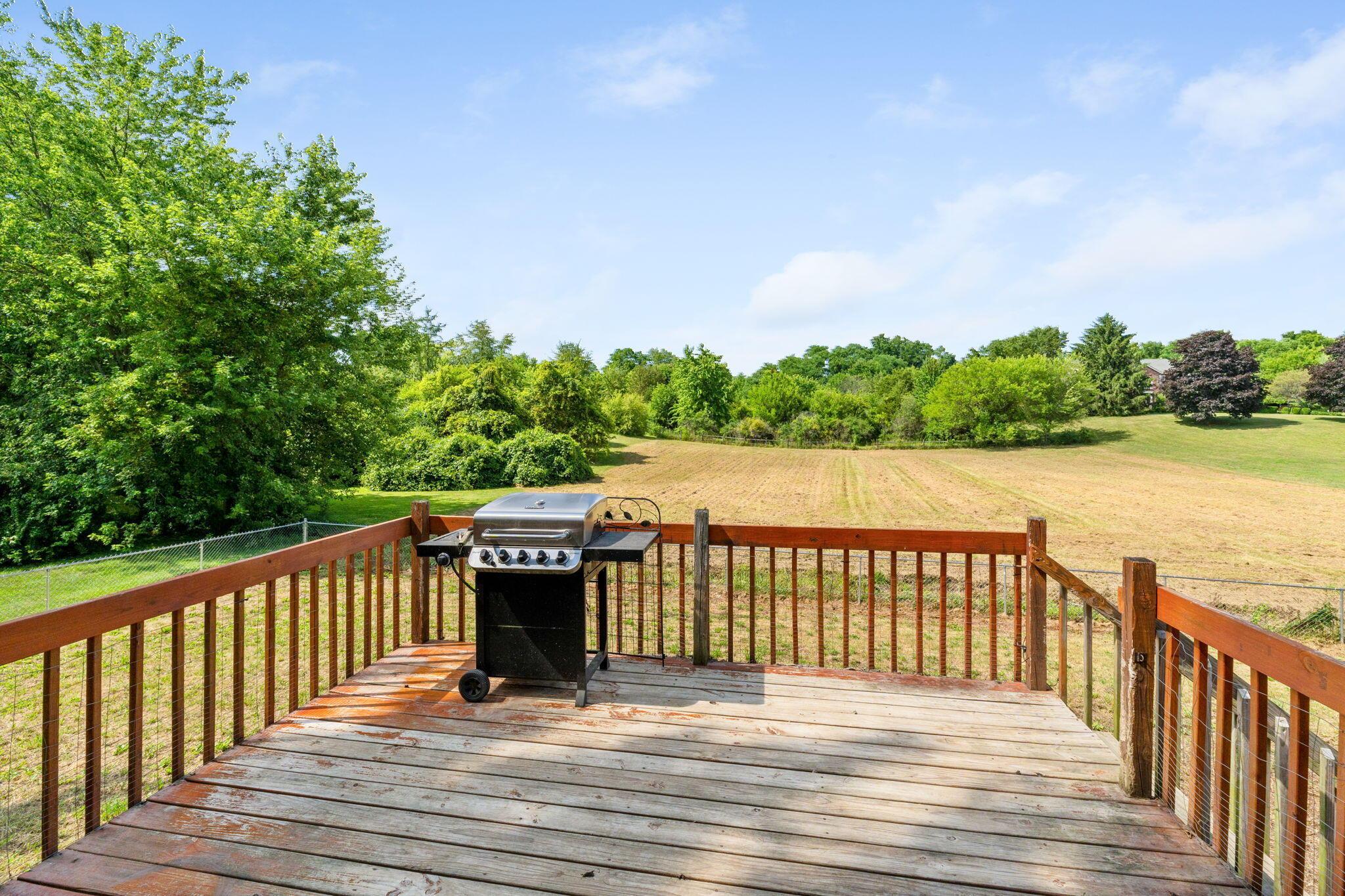 4120 Sintz Road Springfield, OH 45504 - Photo 46 of 64 Back deck off dining room