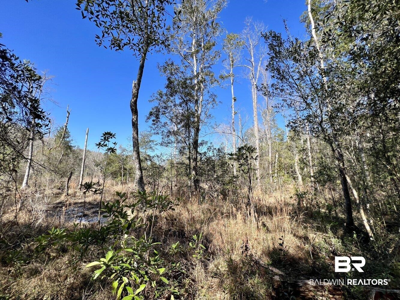 0 Dixon Road Bay Minette, AL 36507 - Photo 33 of 50