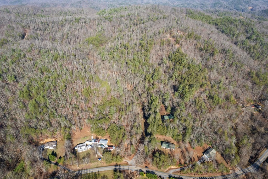 6 Henry Town Road Sevierville, TN 37876 - Photo 3 of 9