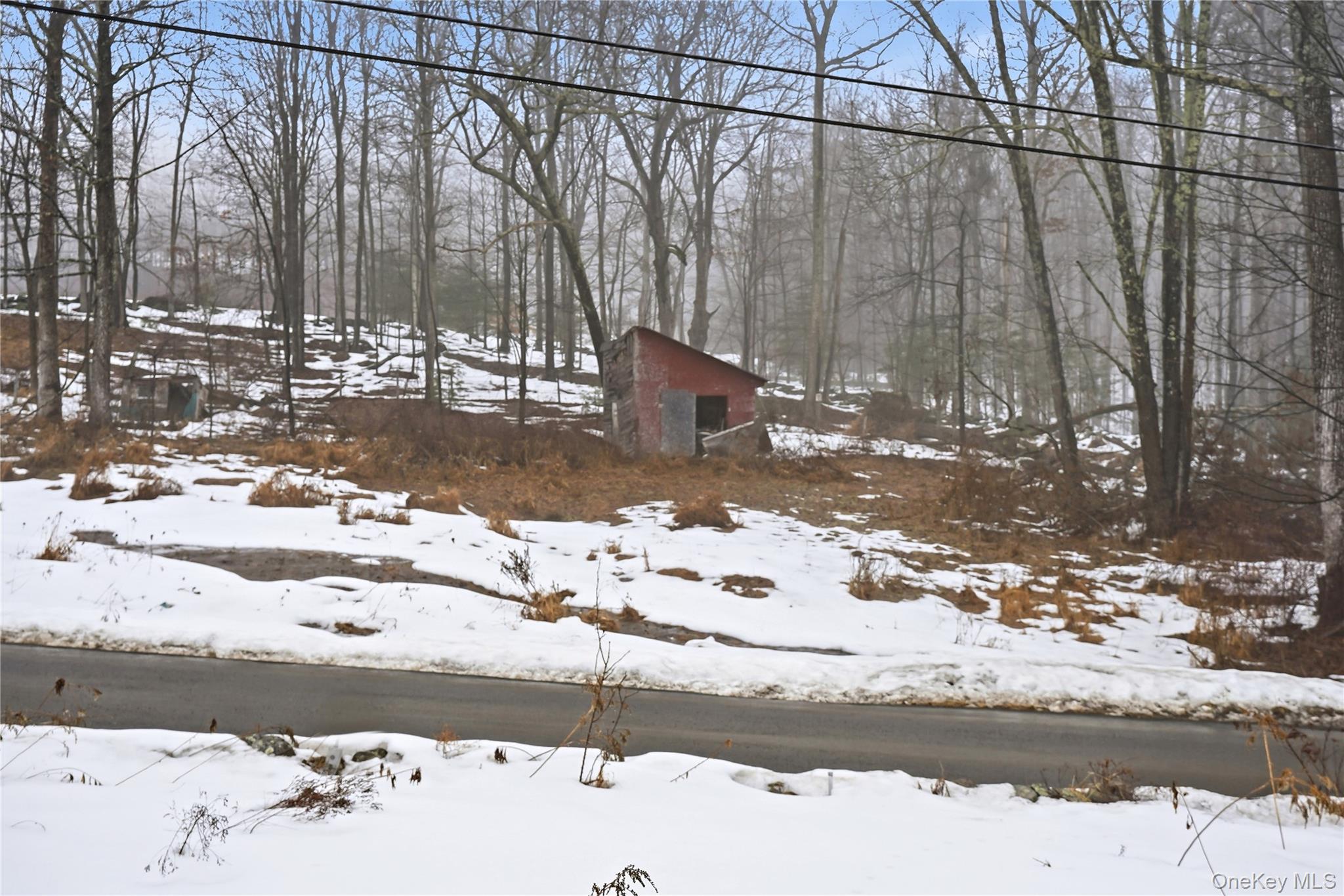 384 Tempaloni Road Ellenville, NY 12428 - Photo 17 of 18 a view of a yard with snow on the road