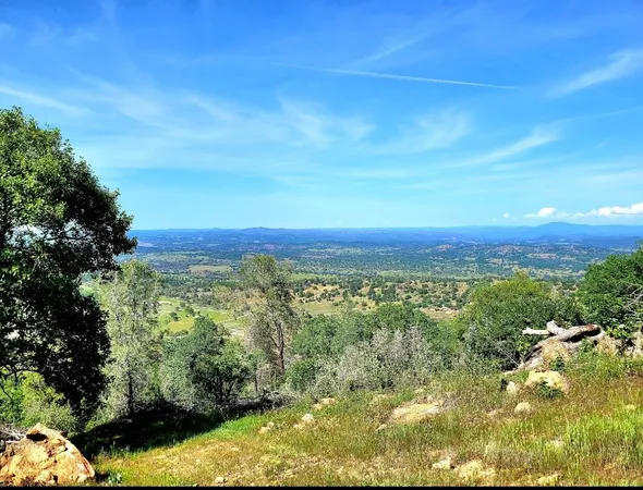 a view of a city with lush green forest
