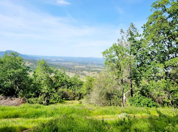 a view of a green field with lots of bushes