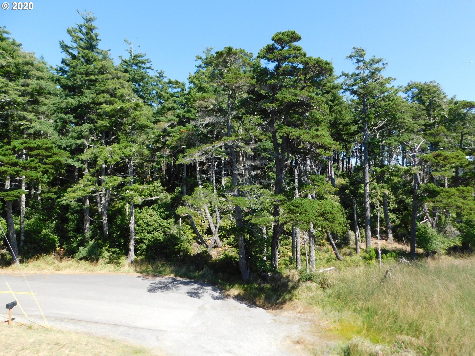 0 Garrison Lake Road Port Orford, OR 97465 - Photo 11 of 15