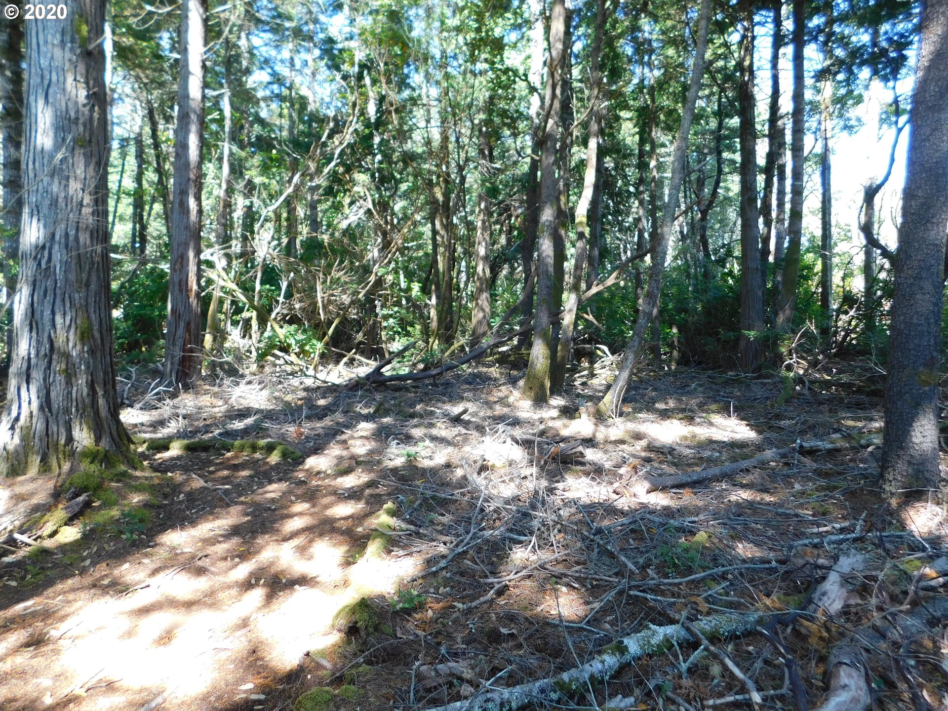 0 Garrison Lake Road Port Orford, OR 97465 - Photo 13 of 15