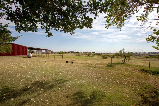 a view of a big yard with large trees