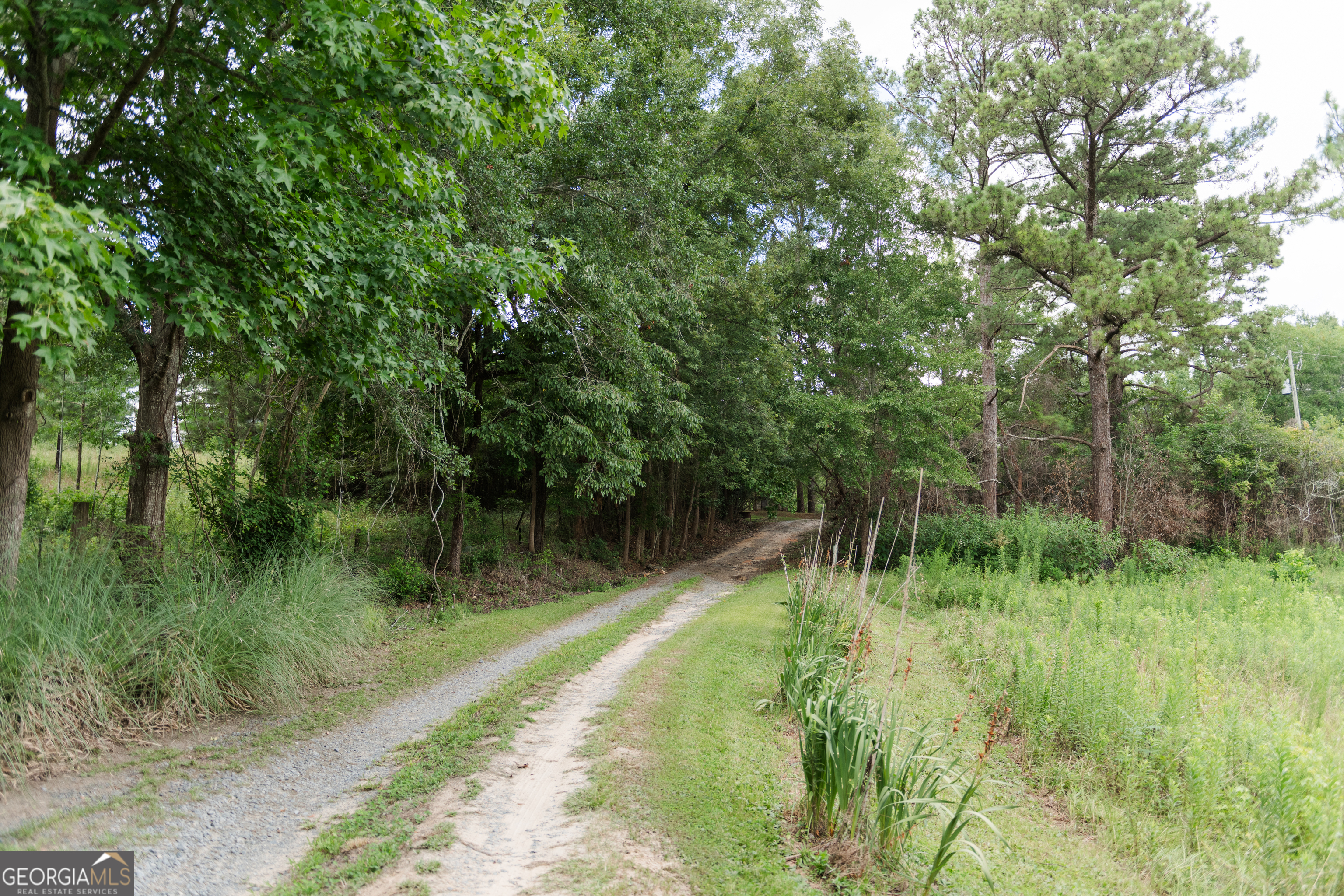 348 Americus Highway Butler, GA 31006 - Photo 55 of 59 a view of a lake in a forest