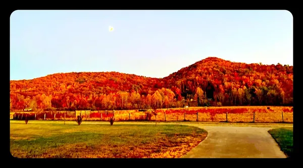 a view of swimming pool