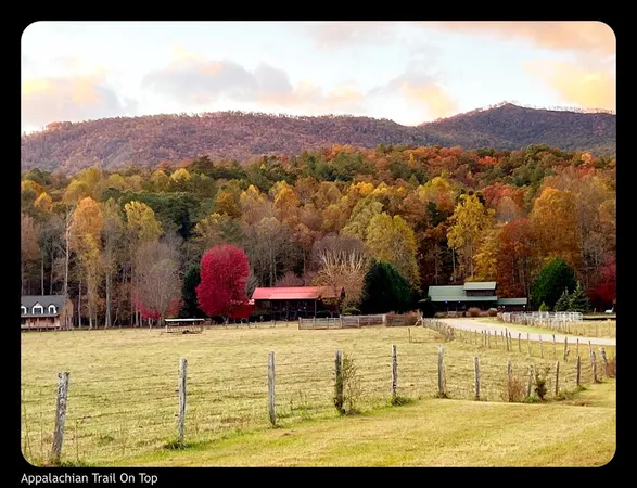 a view of a chairs and table in the patio