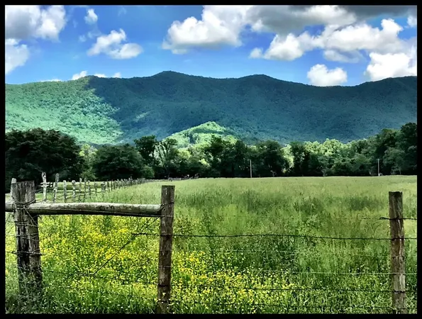 a view of a large body of water with a building in the background