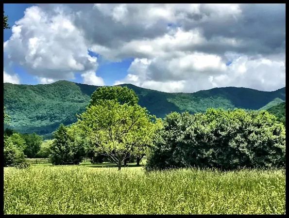 $479,000 | 32 Mountain Meadows Drive, Hayesville, NC 28904