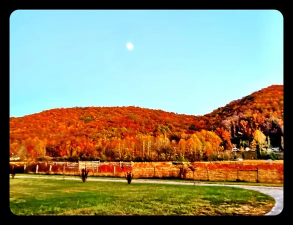 a view of swimming pool with a yard