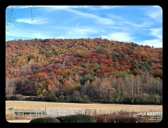 $479,000 | 32 Mountain Meadows Drive, Hayesville, NC 28904