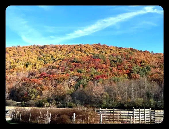 $479,000 | 32 Mountain Meadows Drive, Hayesville, NC 28904