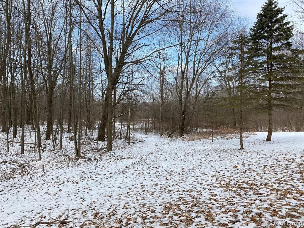 6135 Byron Road Howell, MI 48855 - Photo 8 of 16