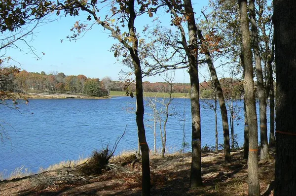 a view of a backyard of the house