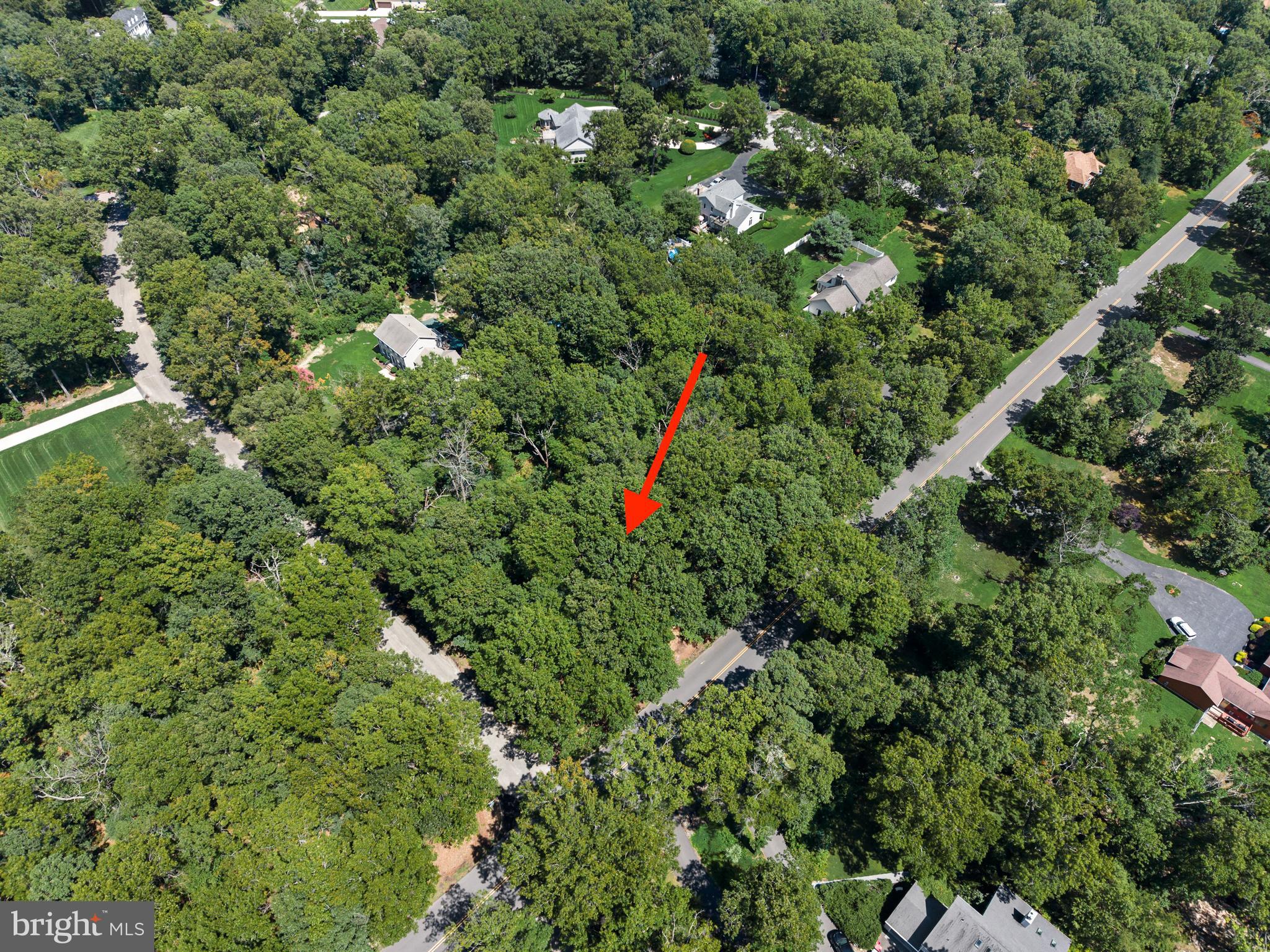 1615 Country Bridge Road Millville, NJ 08332 - Photo 3 of 10 Rural and close to so much!
