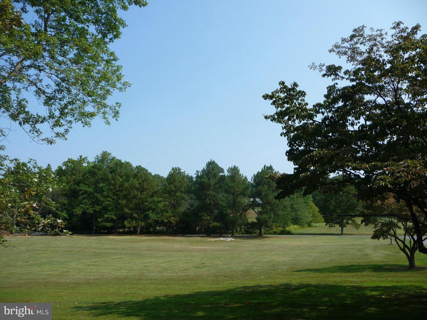 12665 Lime Kiln Road Fulton, MD 20759 - Photo 2 of 4 a view of a big yard with plants and large trees