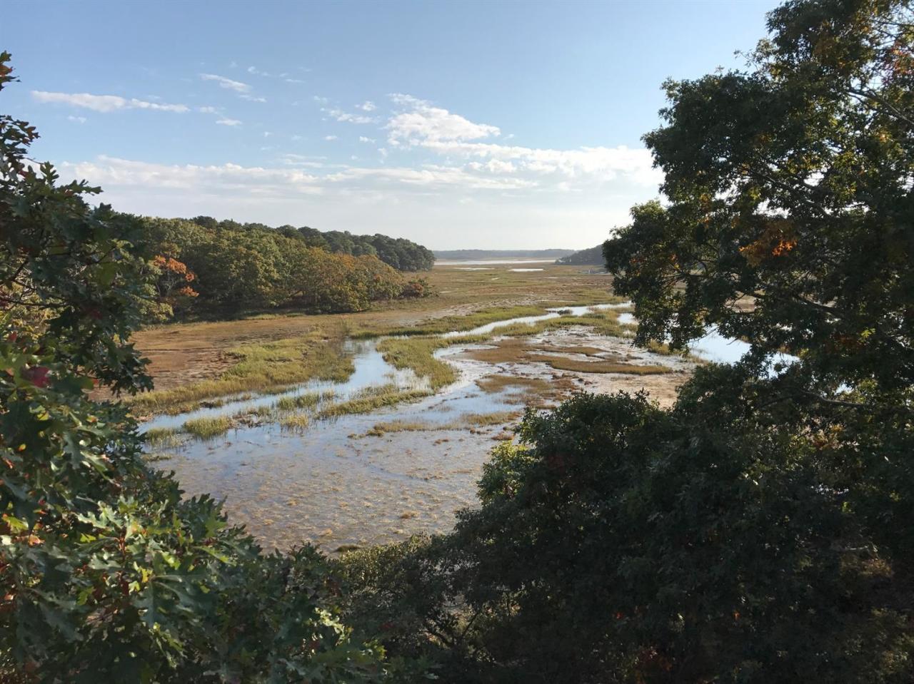 365 Lieutenant Island Road Wellfleet, MA 02667 - Photo 16 of 18 Additional Photo
