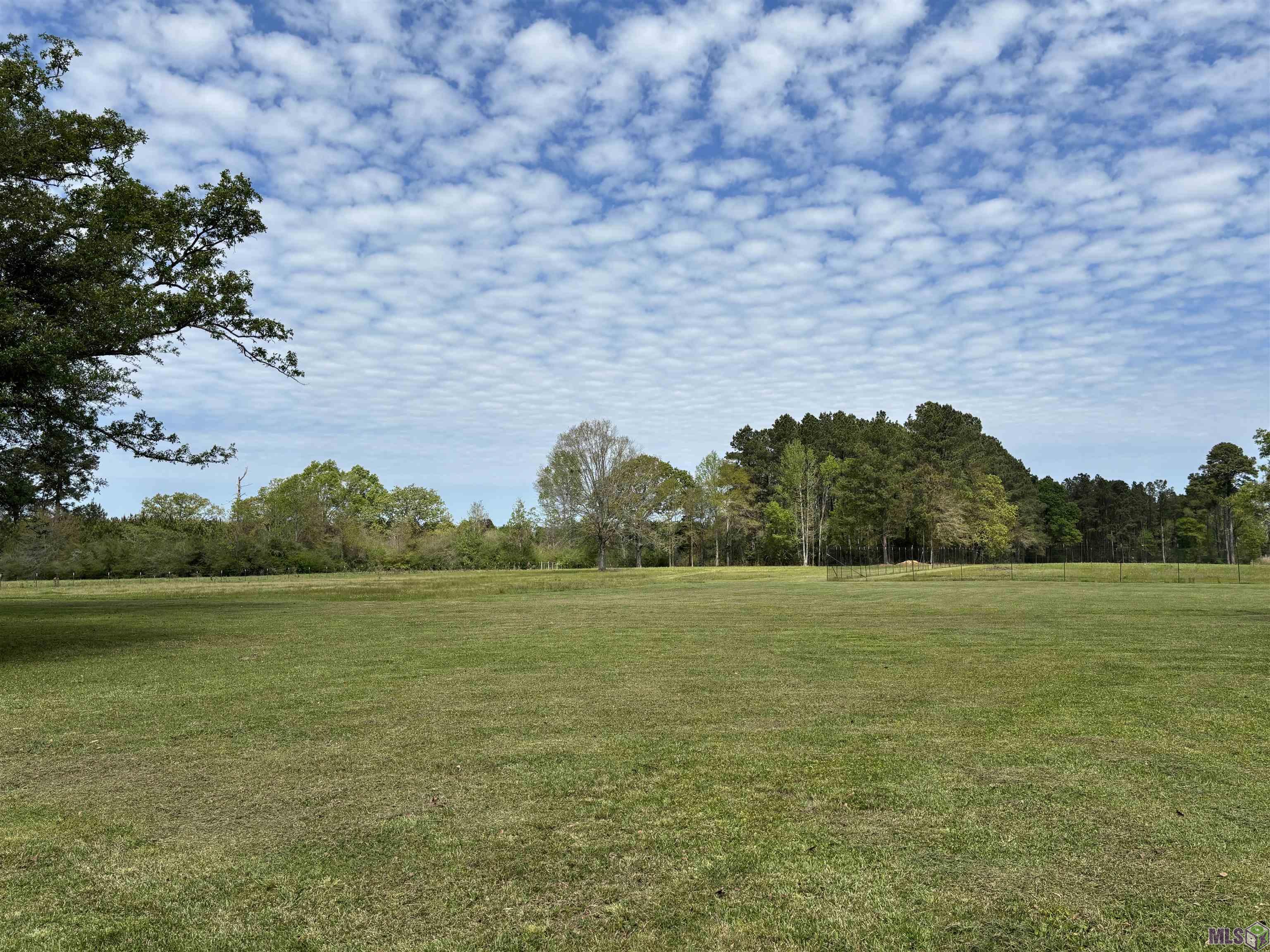 14940 Highway 959 Clinton, LA 70722 - Photo 2 of 5