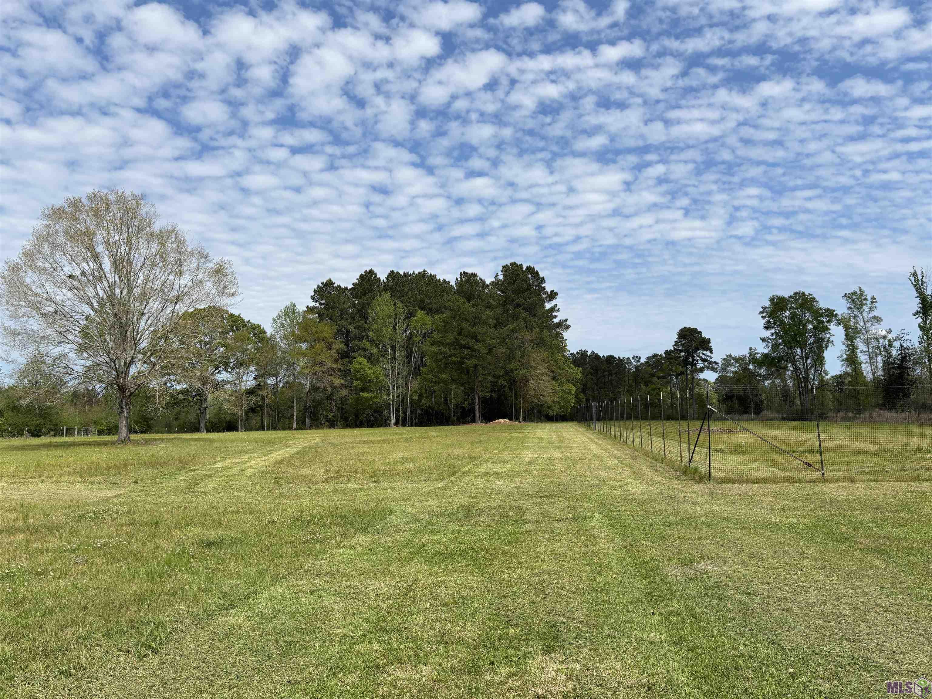 14940 Highway 959 Clinton, LA 70722 - Photo 3 of 5