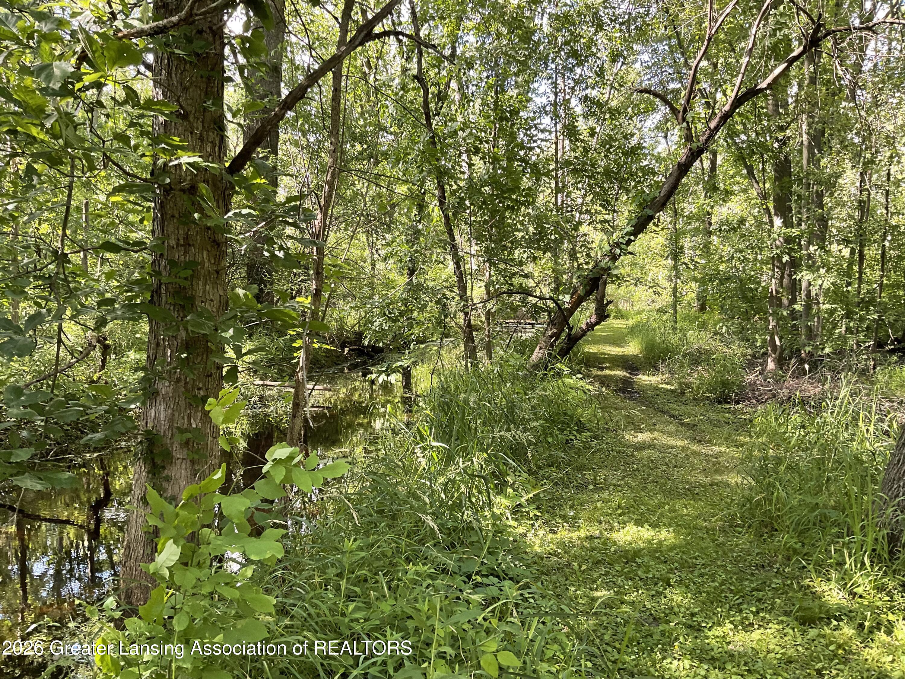 6845 South Ainger Road Olivet, MI 49076 - Photo 65 of 66 IMG_5233