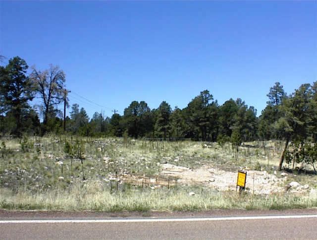 31 Mogollon Road, Unit 31B Overgaard, AZ 85933 - Photo 1 of 1 Primary Photo