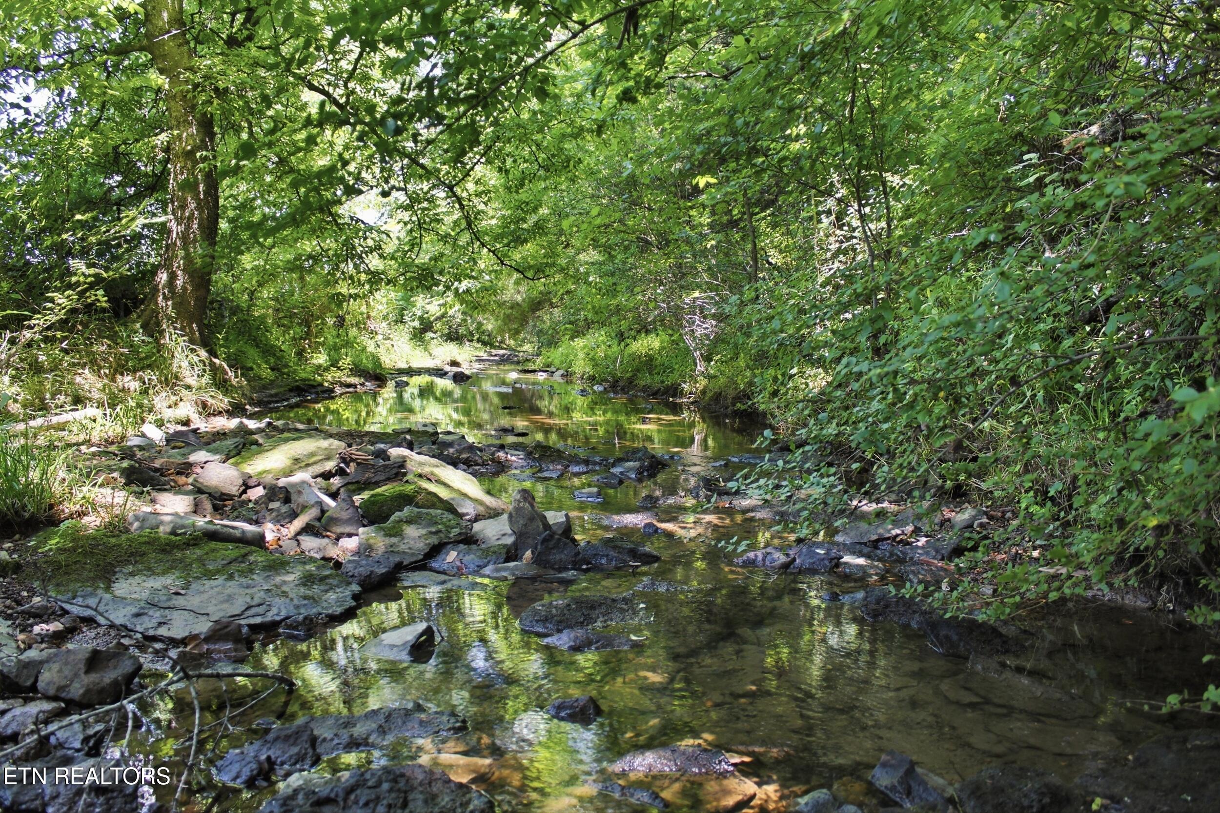3300 Doyle Frazier Road Morrison, TN 37357 - Photo 3 of 45 CREEK