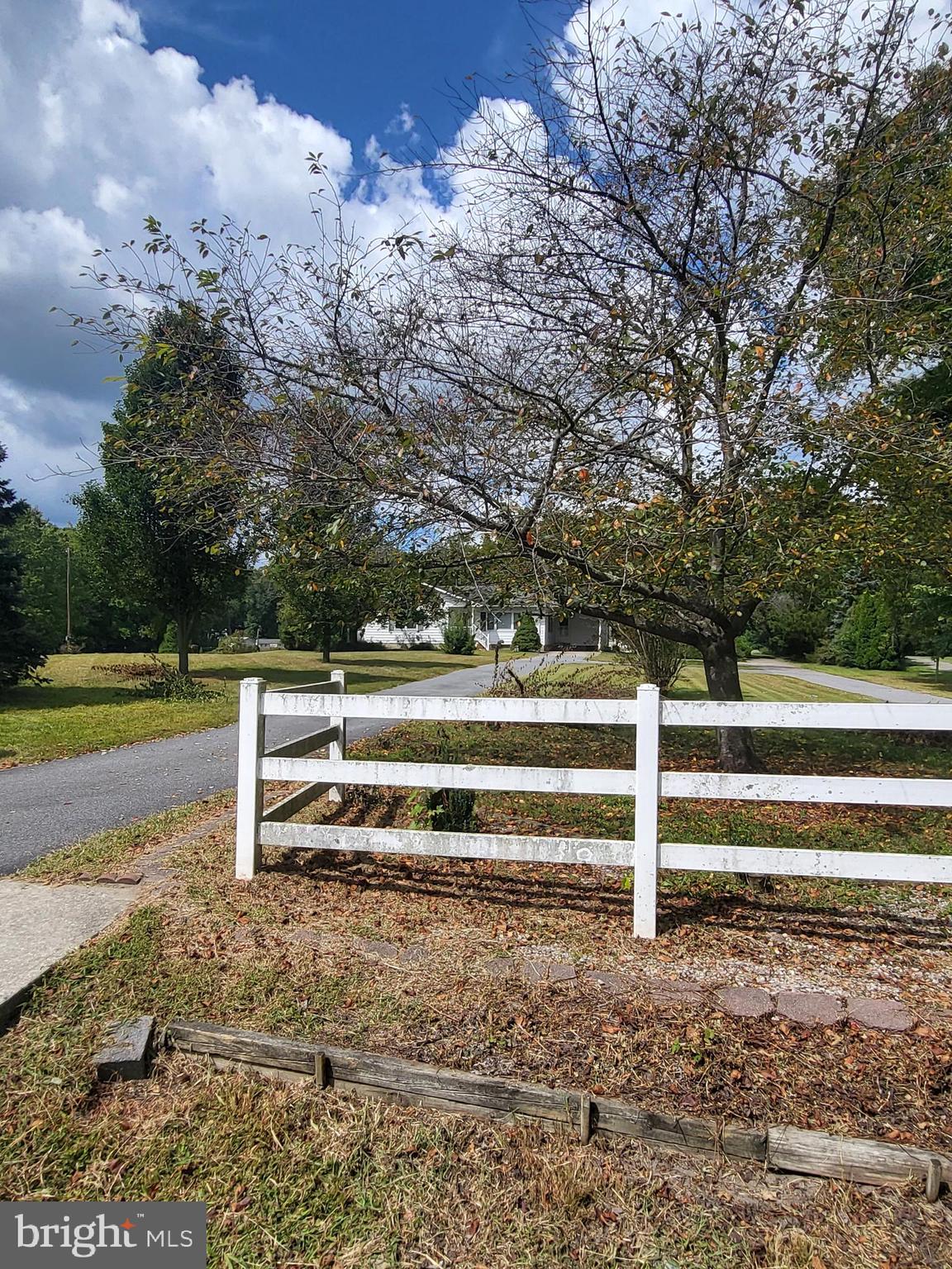 2189 Judith Road Hartly, DE 19953 - Photo 20 of 26 a view of backyard with green space