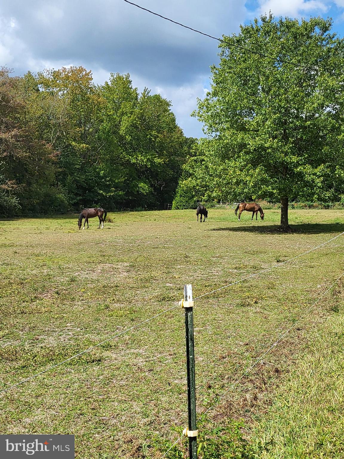 2189 Judith Road Hartly, DE 19953 - Photo 26 of 26 a view of a yard