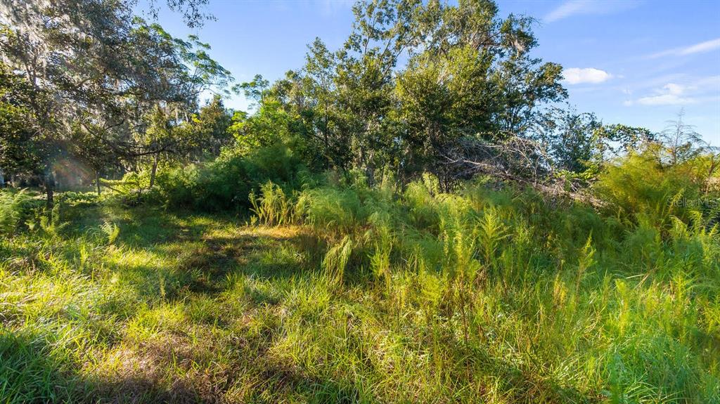 23158 Loop Road Groveland, FL 34736 - Photo 21 of 28 Gallery Image 21