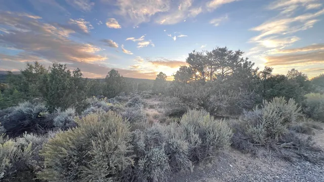 a view of a city with lush green forest