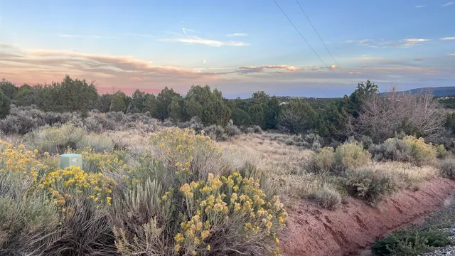 a view of a city and mountains