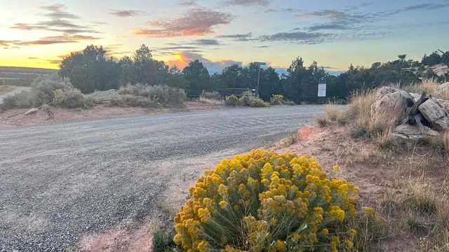 a view of a dry yard with wooden fence