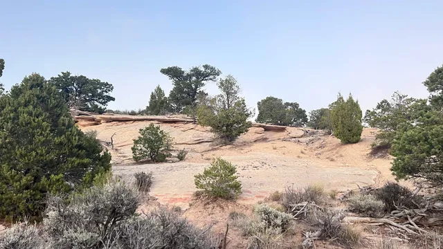 a view of a road with a snow on the side of the road