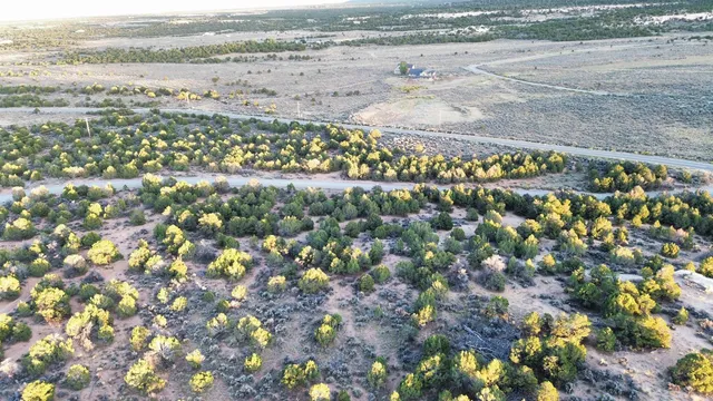 a view of an ocean beach